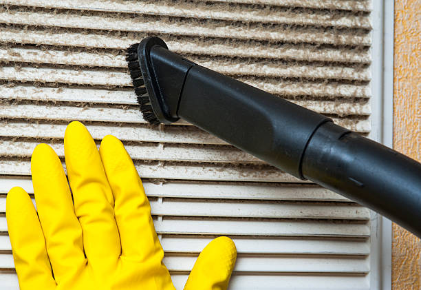 Best Air Duct Cleaning Company Near Me  in Floresville, TX